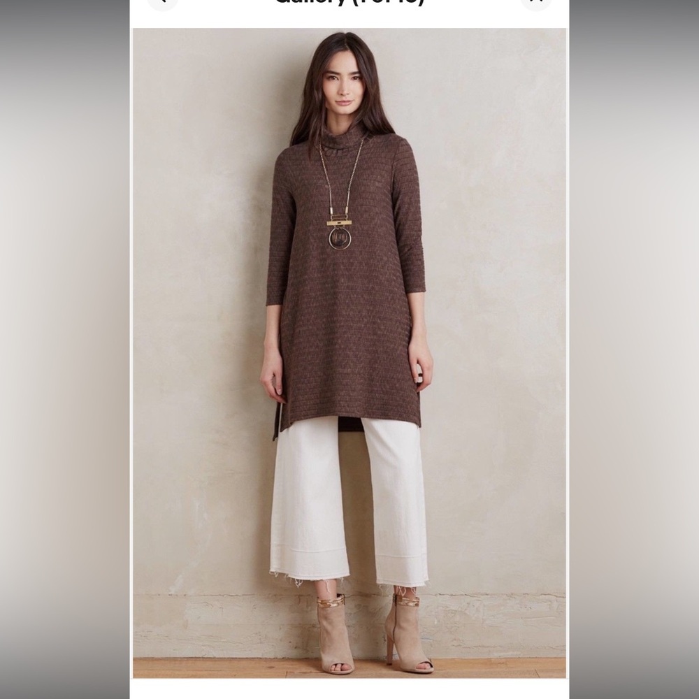 Anthropologie Puella Dress Tunic Brown Ribbed Turtleneck Tunic Dress Small NWT